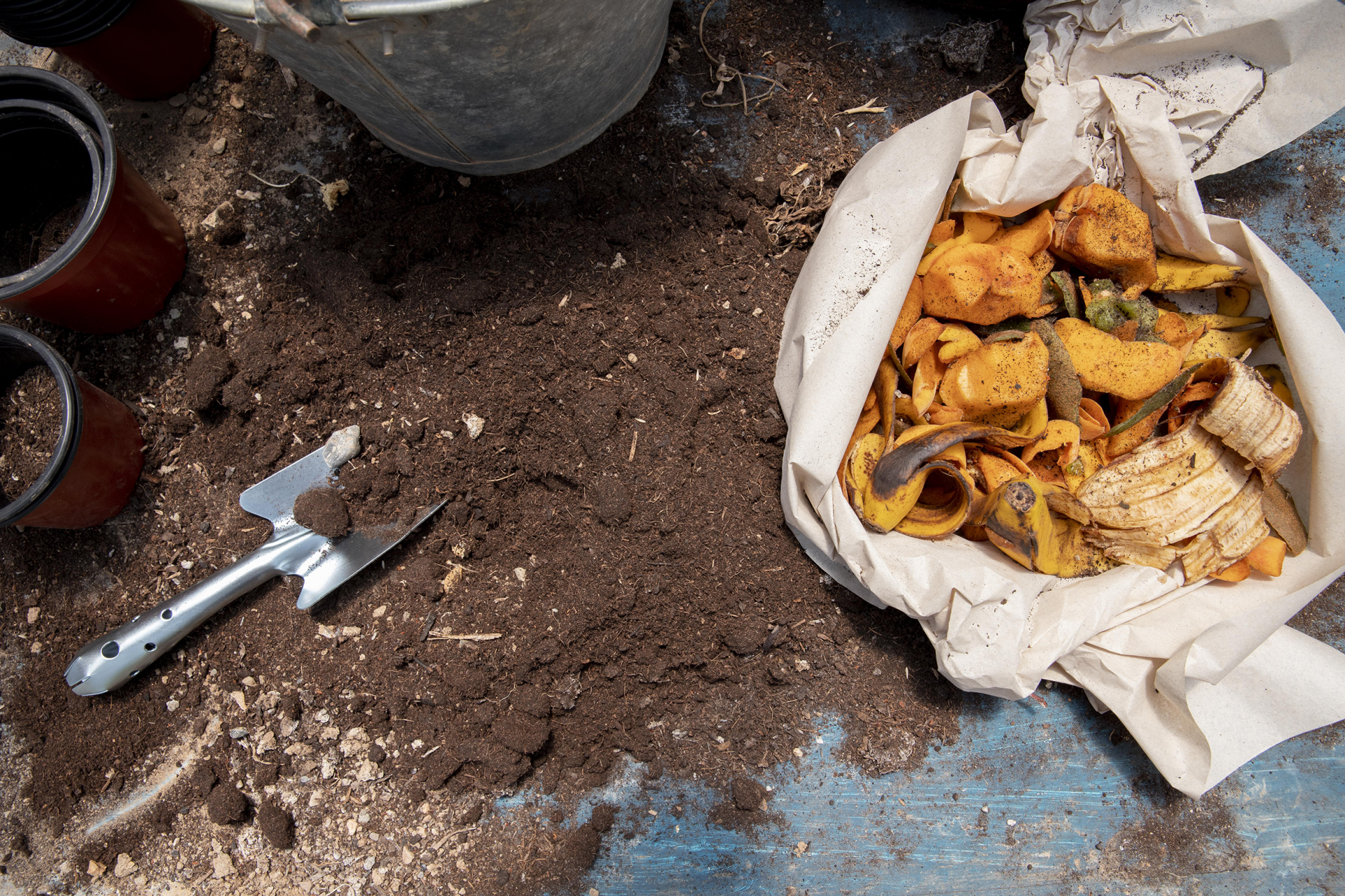 Compost still life concept